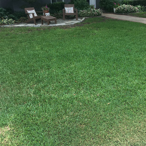 Before and After Lawns - Victory Turf Management